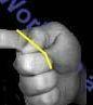 Ken's World on a String Yo-Yo Image 3