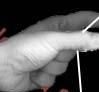 KWOS - Ken's World on a String Image 0